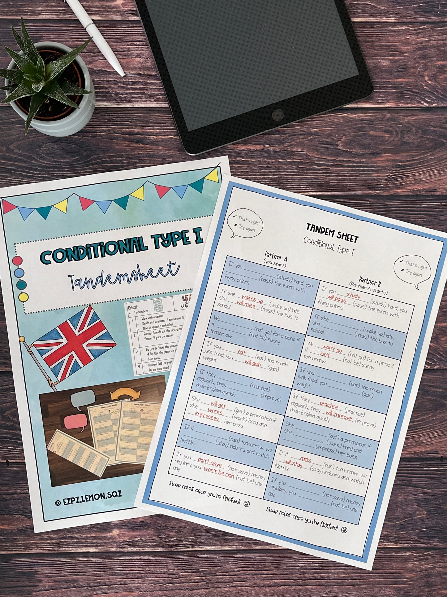 Conditional Sentences / if clauses (Type I) - Tandemsheet