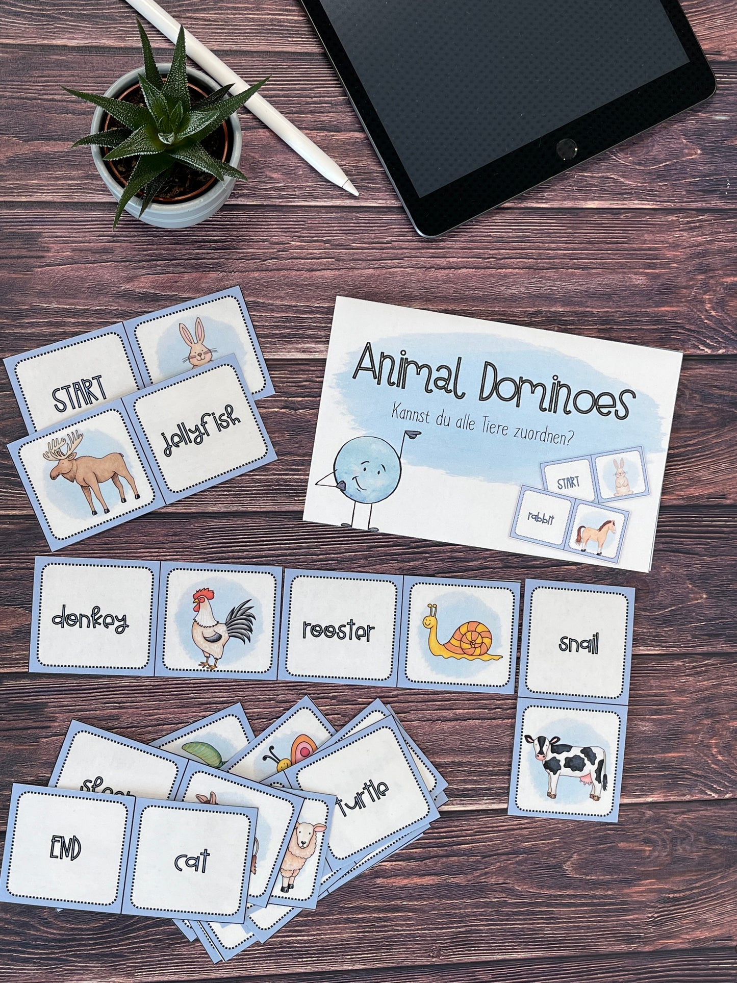 Tag der offenen Tür/Schnuppernachmittag Englisch