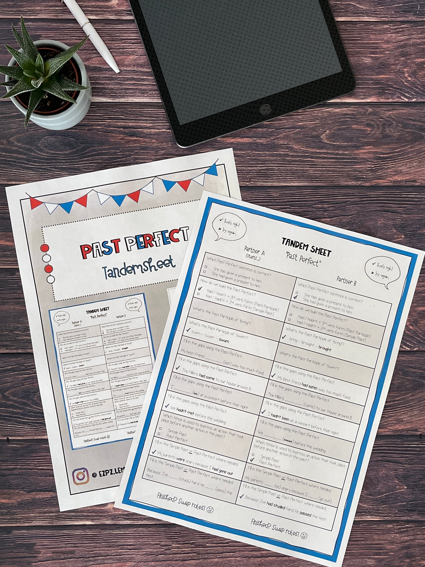 The Past Perfect - Tandemsheet